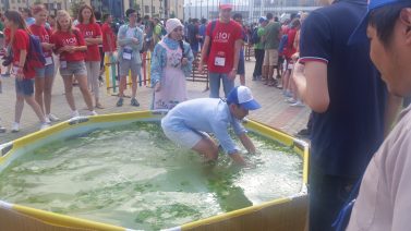 IMG_20160815_194619